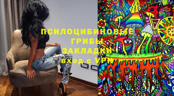 гашик Нея