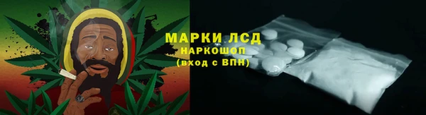 гашик Нея