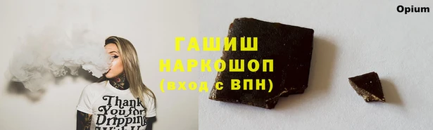 гашик Нея
