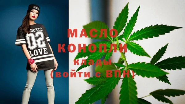 гашик Нея