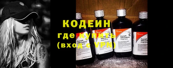 гашик Нея