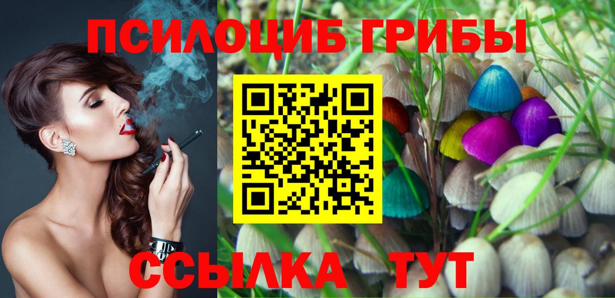 Псилоцибиновые грибы Cubensis  Коммунар 