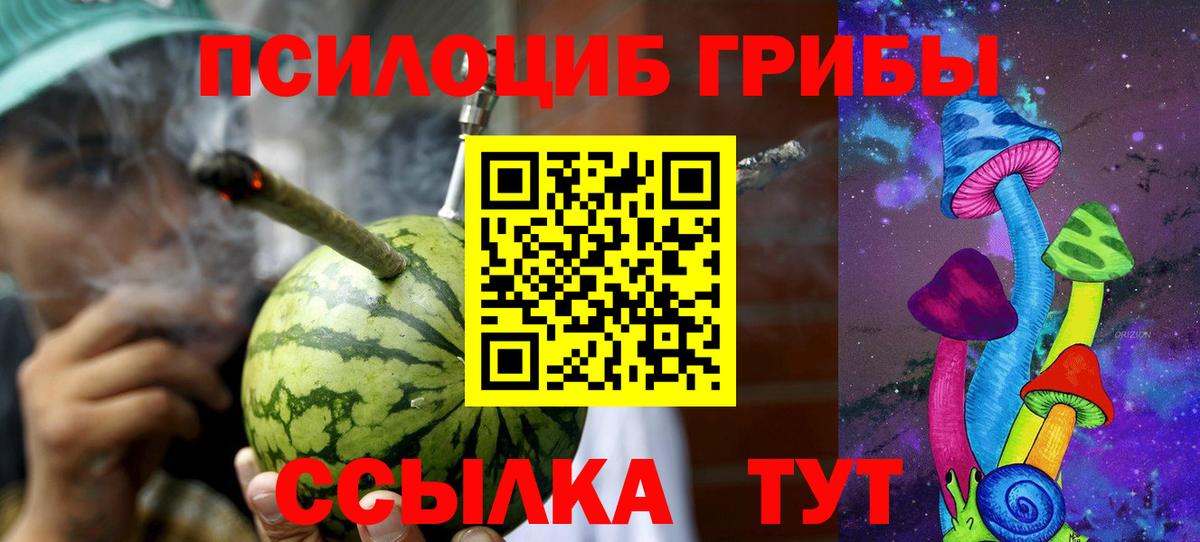 Псилоцибиновые грибы Psilocybe Коммунар