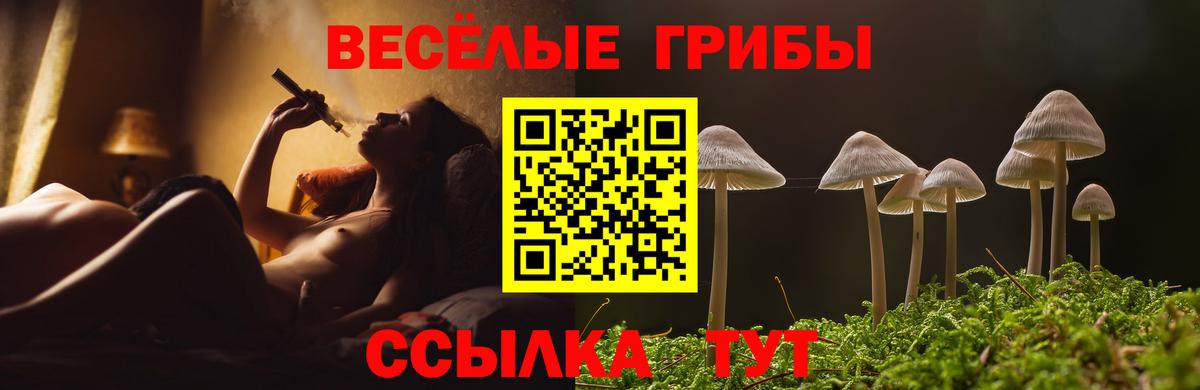 Коммунар  Галлюциногенные грибы мухоморы  Вход с VPN  Псилоцибиновые грибы Psilocybine cubensis 